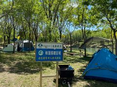 -东郊湿地公园