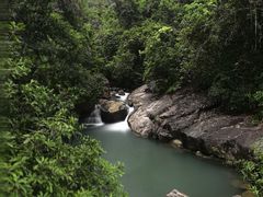 -广州白江湖森林公园