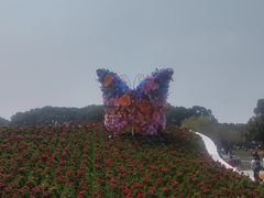 -上海鲜花港