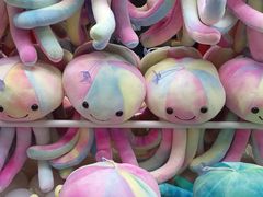 -布吉佳兆业广场