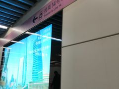 -大望路(地铁站)