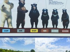 -黑瞎子岛探秘野熊园