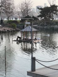 -玄武湖景区-情侣园游乐场