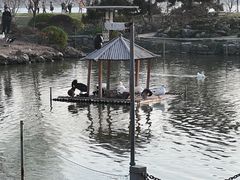 -玄武湖景区-情侣园游乐场