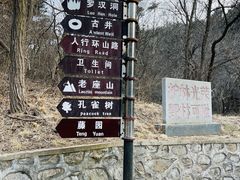 -金龙寺国家森林公园
