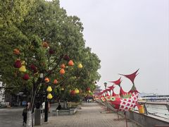 -巢湖姥山岛