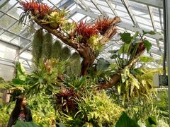 -国家植物园南园