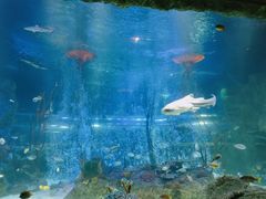 -沈阳海洋探索中心