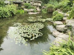 -龙头寺公园