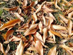 -梁鸿国家湿地公园