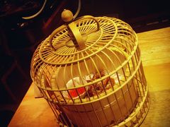 -胡桃里音乐酒馆(四道口店)