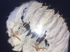 灯饰-金私燕鲜炖燕窝(万达店)