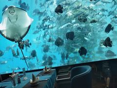 -瑞德姆美人鱼海底演艺主题餐厅(亚龙湾店)