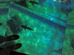 -暹罗海洋世界