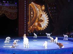 -珠海横琴长隆《卡卡虎奇遇记》