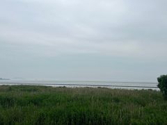 -合肥滨湖国家森林公园