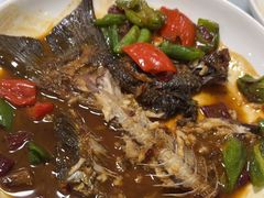 -天乐农家鱼头王(天目湖店)