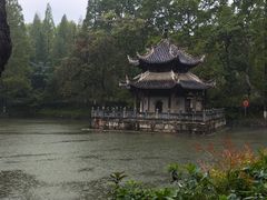 -习家池