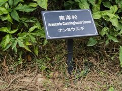 -厦门悦华酒店