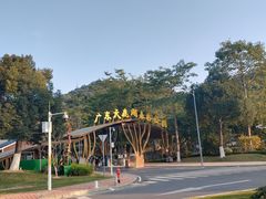 -天鹿湖森林公园