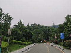 -桃花岭景区