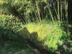 -水绘园