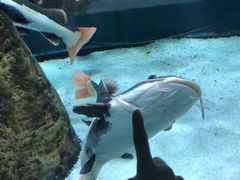 -顺德南宏海立方海洋公园