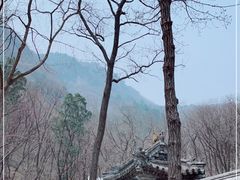 -北京上方山国家森林公园