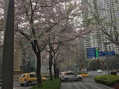 -陆家嘴空中步行连廊