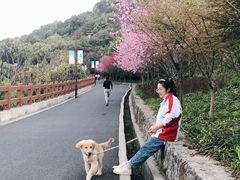 -杭州半山国家森林公园