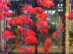 -釜山火炉韩式炭火烤肉(欧洲城店)
