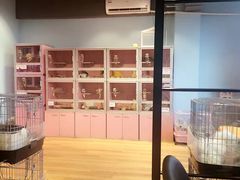 -藦茜花园宠物主题亲子互动体验馆(国顺东路店)