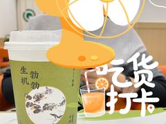 -奈雪的茶(石家庄万象城店)
