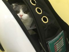 -瑞鹏宠物医院·爱宠堂·骨外专科(西荷分院)