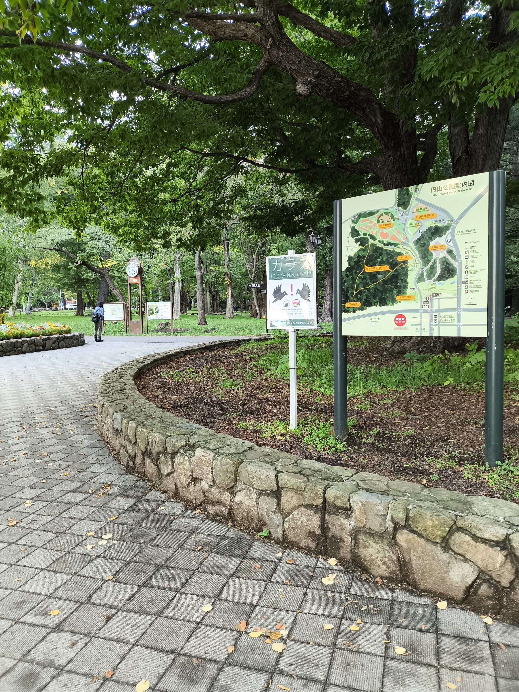 0元玩转这座城北海道札幌的公共绿地圆山公园,其实是个赏樱的好地方