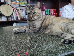 -协和菜馆(凤凰街店)