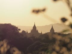 -维乐口腔医院(星海湾分院)