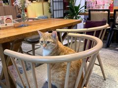 -谷咖啡·鲜花绿植花园餐厅