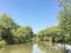 景点-长兴太湖图影湿地文化园