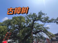 -新安江山水画廊风景区