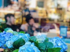 -花与咖啡馆(金星楼店)