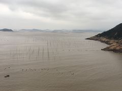 -北岐滩涂