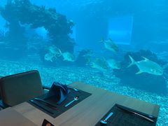 -海棠湾洲际-涛·海底餐厅·美人鱼·自助餐·海底隧道