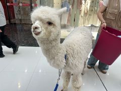 -万达广场(槐房店)