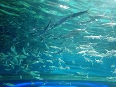 -大明湖海底世界