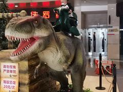 -成都浩海立方海洋公园