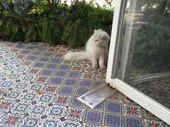 迷途主题旅馆-广州迷途主题旅馆(海珠广场店)