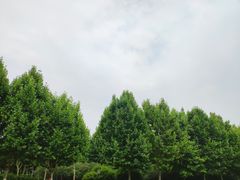 -滨湖塘西河公园