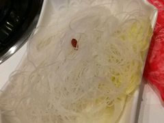 粉丝-乔先生涮肉·鲜活牛羊肉火锅(塘沽店)