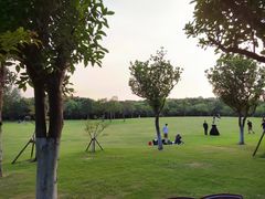 -上海吴淞炮台湾国家湿地公园
